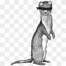 Punxsutawney Phil , Png Download - Sneaky Weasel Beer Logo, Transparent Png - weasel png