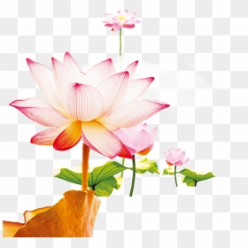 This Graphics Is Wen Hao Fresh Hand Painted Lotus Flower, HD Png Download - lotus flower graphic png