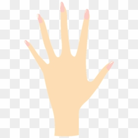 Womans Hand Clipart - Illustration, HD Png Download - hand .png
