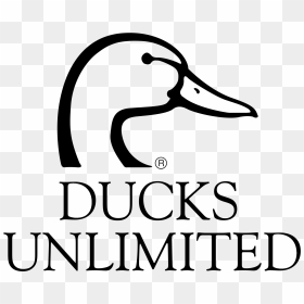 Ducks Unlimited Logo, HD Png Download - unlimited png