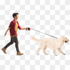 We Take Your Dog For A Walk With Leash Only Unless - People Walking With Dog, HD Png Download - walking dog png