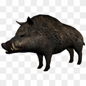 Red Dead Wiki - Red Dead Redemption Animals, HD Png Download - dead animal png