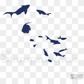 Fish And Seaweed Clipart Clipart Transparent Stock, HD Png Download - seaweed clipart png