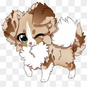 Female Red Merle With White And Copper Australian Shepherd - Red Merle Australian Shepherd Cartoon, HD Png Download - shepherd png