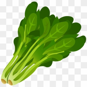 Clipart Of Vegetable, Vegetab E And Seaweed Long , - Продукты Хорошо Ощелачивают Организм, HD Png Download - seaweed clipart png