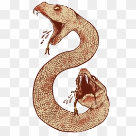 Snake Tattoo Clipart Ancient - Mythical Creature Amphisbaena, HD Png Download - snake tattoo png