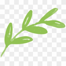 Clip Art, HD Png Download - seaweed clipart png