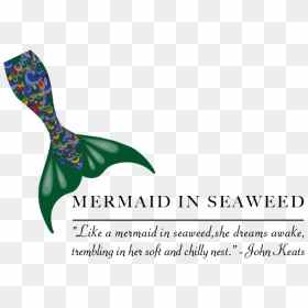 Clip Art, HD Png Download - seaweed clipart png
