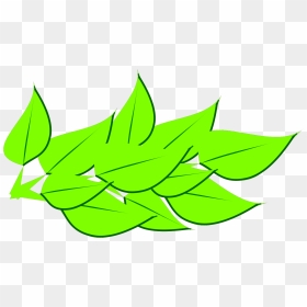 Clip Art, HD Png Download - leaves .png