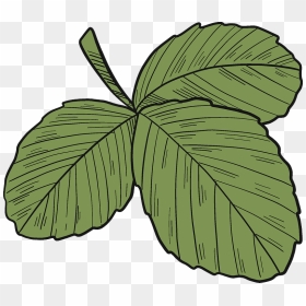Strawberry Leaves Clipart, HD Png Download - leaves .png