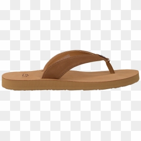 Omoda Uggs Slippers - Suede, HD Png Download - uggs png