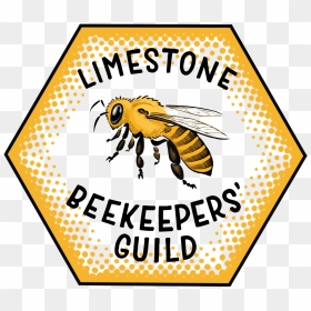 Limestone Beekeepers - Honeybee, HD Png Download - honeybee png