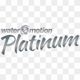 Eclub/logos Waterinmotion® - Logo Platinum Text Png, Transparent Png - platinum png