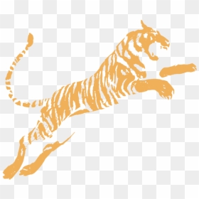 Siberian Tiger, HD Png Download - jumping tiger png