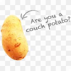Are You A Couch Potato - Russet Burbank Potato, HD Png Download - couch potato png