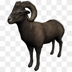 Red Dead Wiki - Big Horn Sheep Transparent, HD Png Download - dead animal png