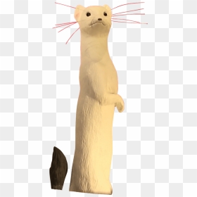 Cat, HD Png Download - weasel png