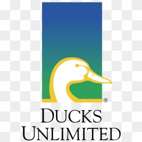 Ducks Unlimited, HD Png Download - unlimited png