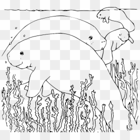 Book, Underwater, Seaweed, Manatee, Fins, Color - Manatee Coloring Page, HD Png Download - seaweed clipart png
