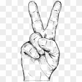 Hand Drawn Hand Gestures Vector 7 1 - Line Art, HD Png Download - bloody hands png