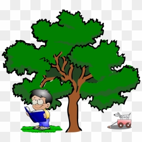 Kid Reading - Live Oak Tree Clipart, HD Png Download - kids reading png