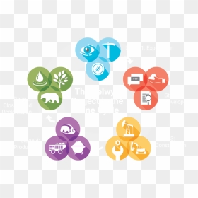 Graphic Design, Transparent Png - Graphic Design, Png Download - timeline icon png
