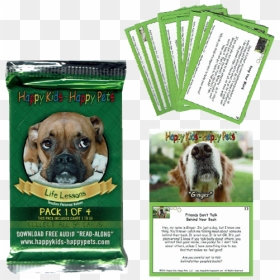 Boxer, HD Png Download - happy kids png