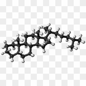 5beta-cholestane Molecule Ball - Cholesterol Ball And Stick Model, HD Png Download - white sphere png