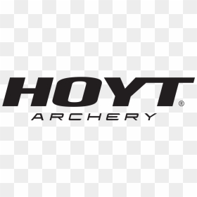 Platinum-hoyt - Graphics, HD Png Download - platinum png