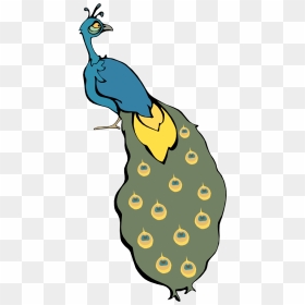 Cartoon Peacock Svg Clip Arts - Cartoon Peacock, HD Png Download - peacock.png