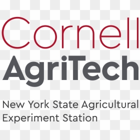 Horizontal Configuration Of Agritech Logo - Human Action, HD Png Download - cornell university logo png