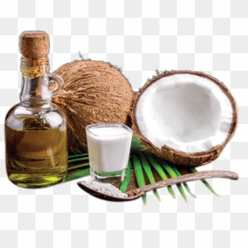 Old Pressed Coconut Oil Online India We Specialize - Cold Pressed Coconut Oil Png, Transparent Png - coconut oil png