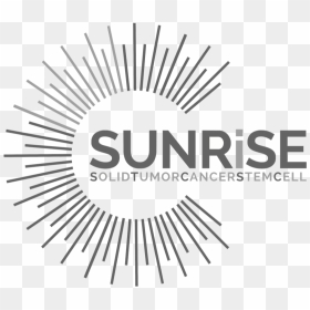 Salcra, HD Png Download - sunrisers logo png