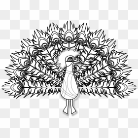 Peacock Loogo Transperent Black, HD Png Download - peacock png file