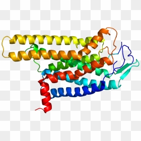 Protein Mc4r Pdb 2iqp - Melanocortin 4 Receptor, HD Png Download - rakshabandhan png