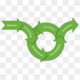 Devine Lifecycle Arrows1 - Lifecycle Employee, HD Png Download - cycle arrows png