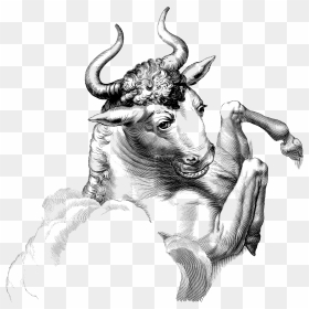 Taurus The Bull Clipart - Taurus Bull, HD Png Download - bull riding png