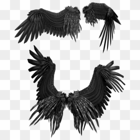 Feather, HD Png Download - bird feathers png