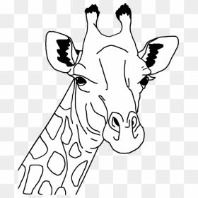 Giraffe Head Clipart - Gambar Kepala Jerapah Kartun Hitam Putih, HD Png Download - giraffe png images