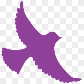 Bird Of Prey, HD Png Download - bird feathers png