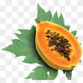 Papaya Fruit, HD Png Download - papaya juice png