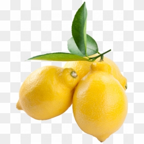 Free Download Of Lemon Icon Png - Lemon Transparent Background Transparent Fruit, Png Download - lemon fruit png