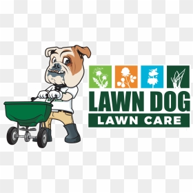 Lawn Care, HD Png Download - lawn care png