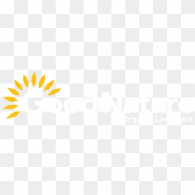 Graphic Design, HD Png Download - lawn care png