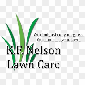 Grass, HD Png Download - lawn care png