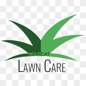 Agave, HD Png Download - lawn care png