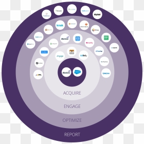 Circle, HD Png Download - marketo logo png
