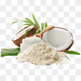 Coconut Oil White Background, HD Png Download - coconut oil png