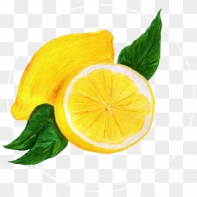 Attribute Motif Lemon White - Lemon, HD Png Download - lemon fruit png