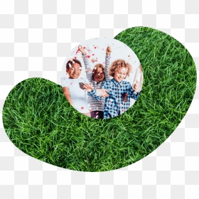 Party, HD Png Download - backyard png
